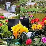 The Wind Lily - Lake View Luxury Apartment