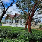 Mountain Misty-nuwaraeliya Hotel Nuwara Eliya