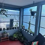 Homestay Succulent