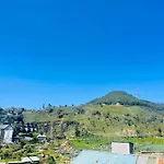 Hill Side Nest