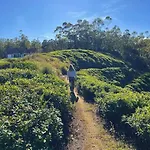 Hotel Mountain Misty-nuwaraeliya Nuwara Eliya
