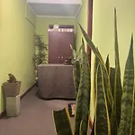 Succulent *