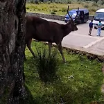The Vacation Nuwara Eliya