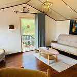 Medalin Harmony Heaven Apartment
