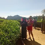Serenity Heights Homestay *