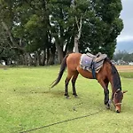 Breeze * Nuwara Eliya