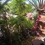 Nuwara Eliya 2020 Wooden Cabin