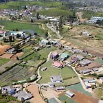 Montellaa