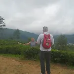 The Mount *