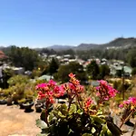 Shiny View