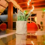 Hotel The Natures Nuwaraeliya Nuwara Eliya