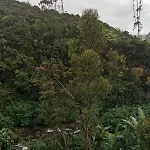 Gregory River View