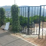 Foliage * Nuwara Eliya
