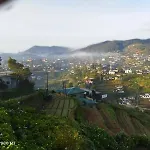 Foliage Villa