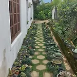Foliage Nuwara Eliya