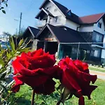Venice House