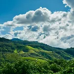 Skyridge Highland