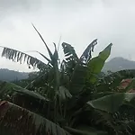Misty Horizon Villa