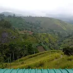 Hakgala Mount Paradise