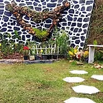 Homestay Nobel Nuwara Eliya