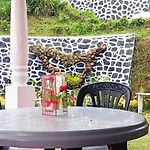 Homestay Nobel *