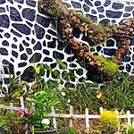 Homestay Nobel Nuwara Eliya