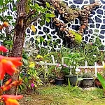 Nobel Homestay *