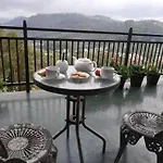 Misty Mount