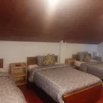 Misty Mount Hostel