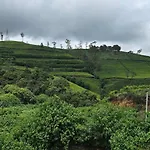 Thistest * Nuwara Eliya