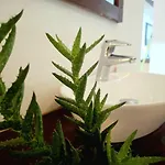 Ivy Bed & Breakfast Nuwara Eliya