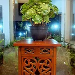 Ivy Nuwara Eliya