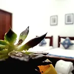 Bed & Breakfast Ivy *