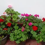 Blackpool 55 Homestay Nuwara Eliya