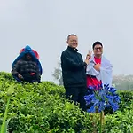 The Frost Hotel Nuwara Eliya