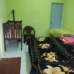 Sparrow Family