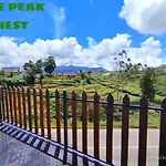 The Peak Nest