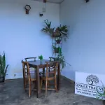 Single Tree Villa