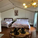 Medalin Harmony Heaven