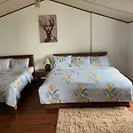 Medalin Harmony Heaven