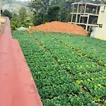 Grand Nauro * Nuwara Eliya