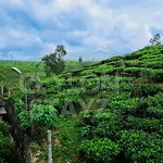 The Loft By Ceylon Stayz