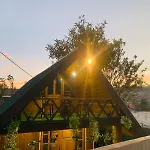 20/20 Wood * Nuwara Eliya