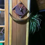 Homestay 20/20 Wood