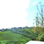 The Rosedale Grand *