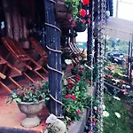 Silonya Forest Edge Hostel Nuwara Eliya