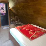 Acn Strawberry Apartment *