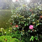 Homestay Ann Field *