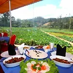 Hotel Ashford 4*