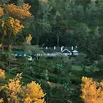 Scottish Planter Bungalow- Thema Collection